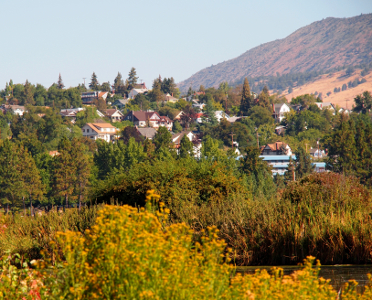 [In a well-treed hillside are a number of buildings with differing architectures.]